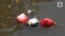 Untuk pencemaran di laut, Indonesia merupakan penghasil sampah plastik laut terbesar kedua di dunia. (merdeka.com/Imam Buhori)