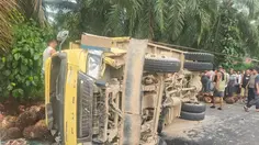 Tragis, Siswa SMP Tewas Tertimpa Truk Sawit