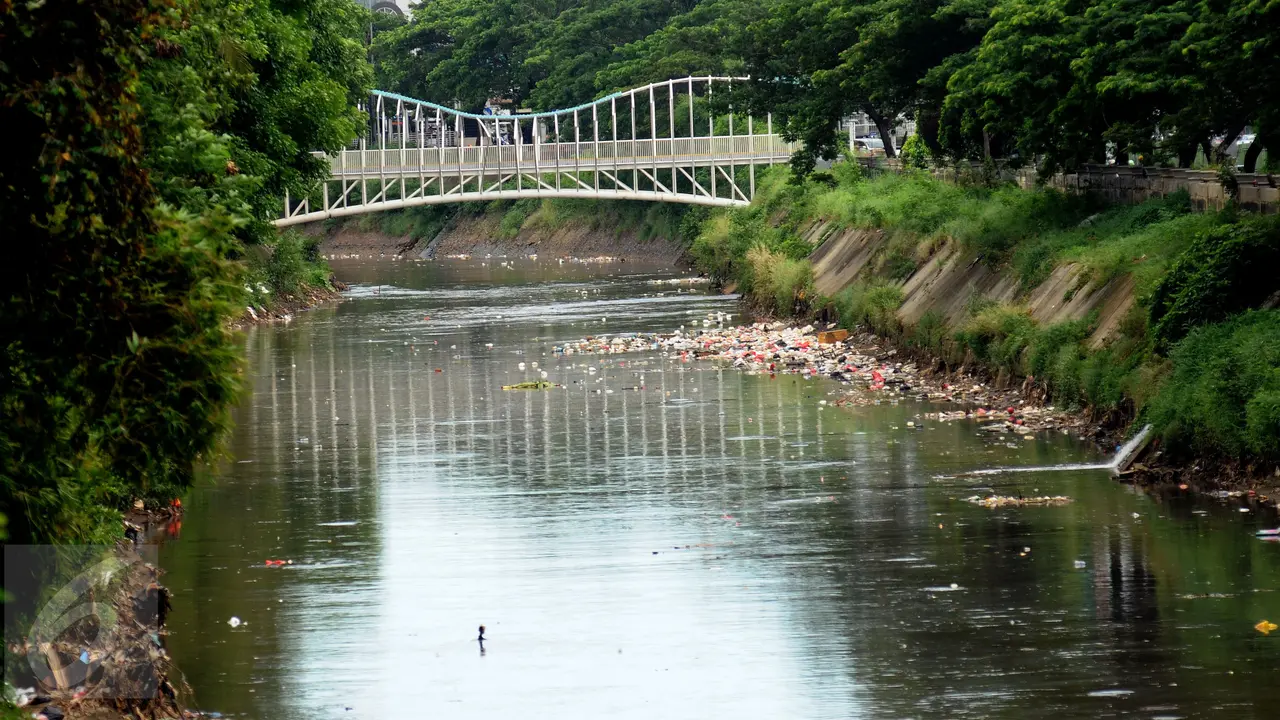 20161122-Kali-Ciliwung-Jakarta-HEL
