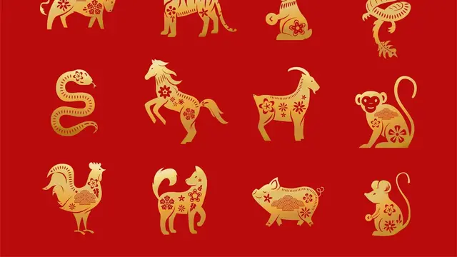 Vietnamese Zodiac