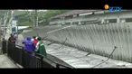 Hingga kini, atap kanopi yang ambruk diterjang angin kencang masih ramai dikerumuni warga. Pihak kepolisian juga tengah melakukan olah TKP.