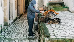 Anabul Kesayangan Picky Eater, Ini Tips yang Perlu Diketahui Pet Owner