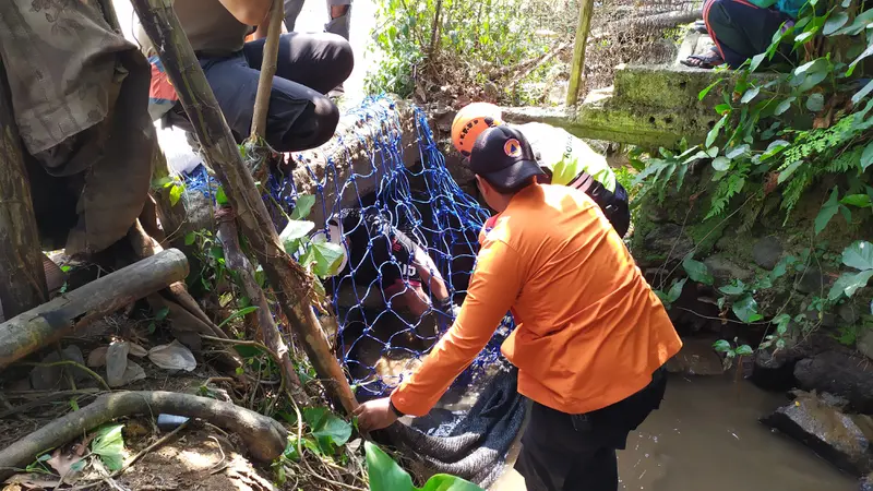 Petugas BPBD memasang perangkap untuk menangkap dua buaya di Bogor