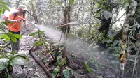 Petugas Balai Besar TNBTS menyemprot tanaman di Taman Anggrek Darungan pada Minggu, 5 Desember 2021 yang tertutup debu vulkanik dampak dari Gunung Semeru erupsi (Foto : BB TNBTS)
