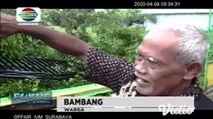 Hujan deras disertai angin kencang yang melanda wilayah kota Santri, menumbangkan pohon beringin berukuran besar di halaman SDN Jombang IV, Dusun Sambong Duran, Desa Jombang, Kecamatan/Kabupaten Jombang.