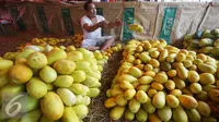Misteri Timun Suri, Hanya Muncul di Bulan Ramadan