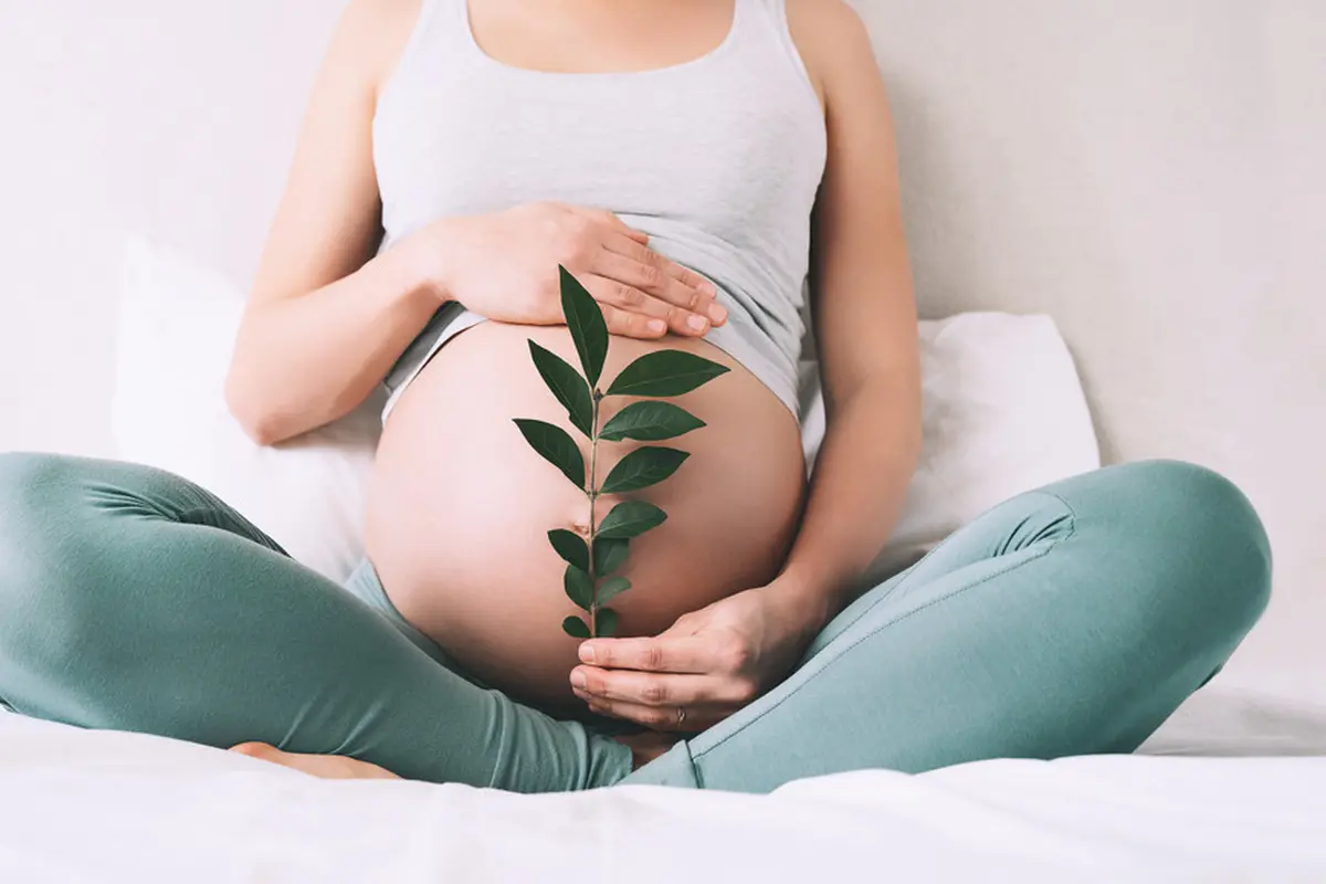 perempuan ibu hamil besar
