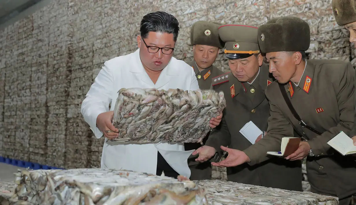 Gambar tak bertanggal yang dirilis pada 19 November 2019, pemimpin Korea Utara Kim Jong-un (kiri) mengunjungi pabrik pengolahan ikan di lokasi yang dirahasiakan di Korea Utara. Kim Jong-un berbicara dengan para pekerja dan sesekali tertawa saat berkeliling pabrik.  STRINGER/KCNA VIA KNS/AFP)
