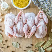 ilustrasi ayam beku/copyright by Svitlyk (Shutterstock)