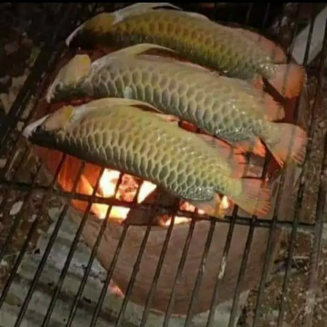 7 Potret Ikan Hias Dimasak Ini Bikin Warganet Heboh