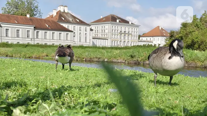 <p>Hasil bidikan kamera Vivo V40 5G dengan fitur Portrait di Nymphenburg Palace, Munich, Jerman. Liputan6.com/Iskandar</p>