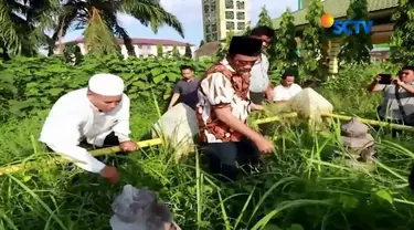 Hargai leluhur, Cagub Sumut Djarot Saiful Hidayat lakukan ziarah dan cabuti rumput di makam leluhur Kesultanan Asahan.