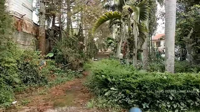 Penampakan Rumah Kosong yang Ditinggalkan 20 Tahun, Isinya Masih Komplet