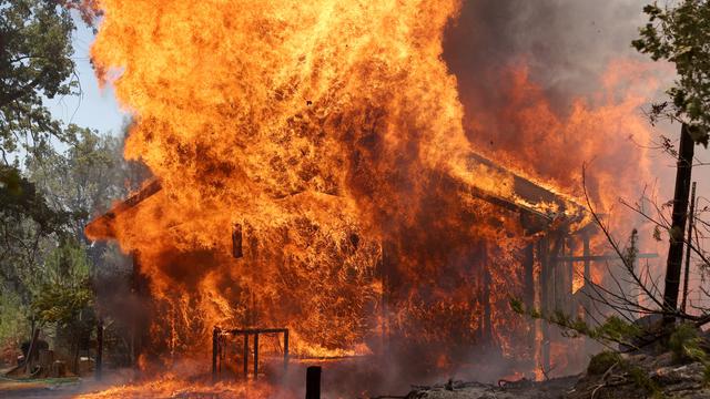 Kebakaran Hutan California Hanguskan Ribuan Hektare Lahan