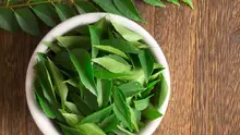 Berikut rahasia merawat rambut yang tebal dan panjang agar tampil berkilau dan memukau dengan daun salam. (iStockphoto)
