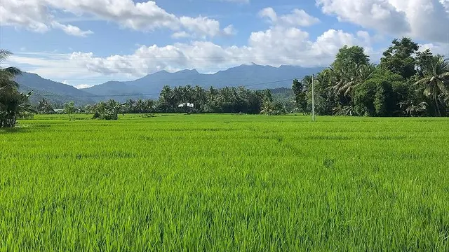 Desa Adat Bayan