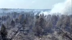 Cairan Pemadam Brasil Diuji di Kebakaran Hutan, Ini Hasil Awalnya