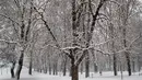 Seseorang berjalan melewati taman yang tertutup salju setelah hujan salju lebat di Vilnius, Lituania, Jumat, 9 Desember 2022. Salju terus turun di seluruh negeri, dengan suhu hanya 0 derajat Celcius (32,0 derajat Fahrenheit). (AP Photo/Mindaugas Kulbis)