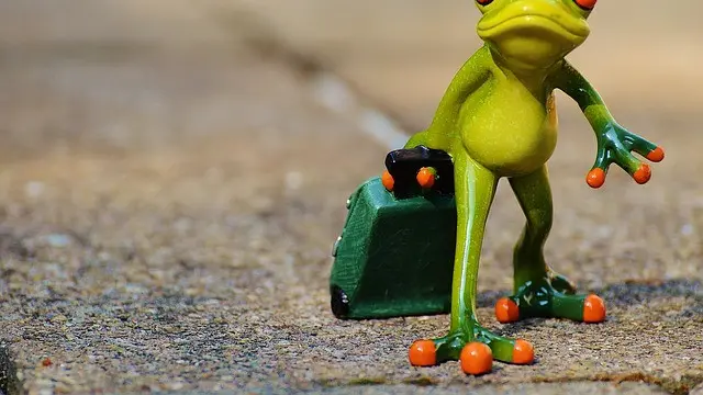 Ilustrasi katak