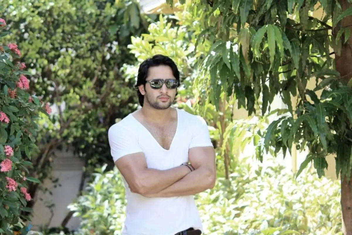 Shaheer Sheikh