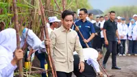 Wapres Gibran Panen Tebu di Banyuwangi, Dialog dengan Petani dari Seluruh Indonesia