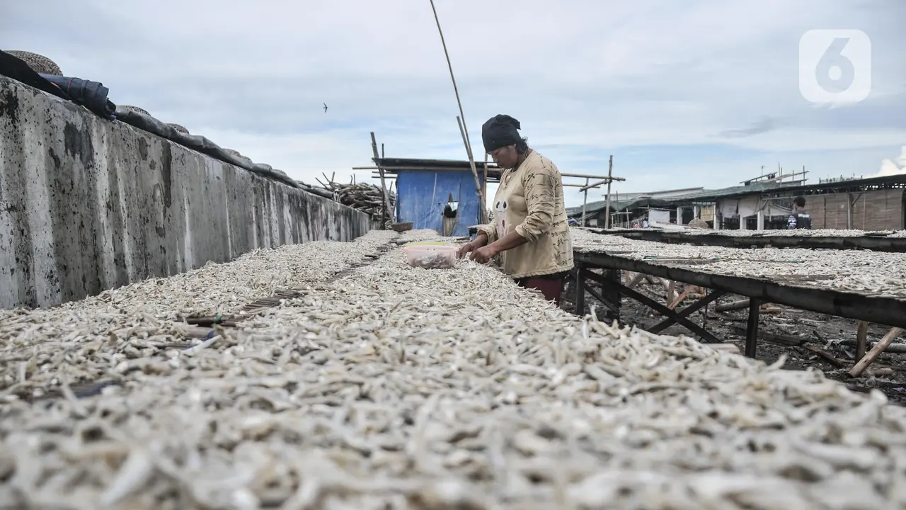 Harga Ikan Asin Merosot