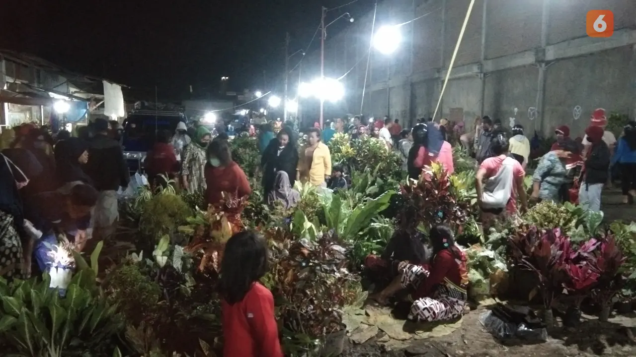 Pasar tanaman hias malam jumat di Palu