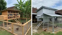 Kandang Ayam dari Kayu vs Baja Galvanis: Mana Lebih Tahan Lama?