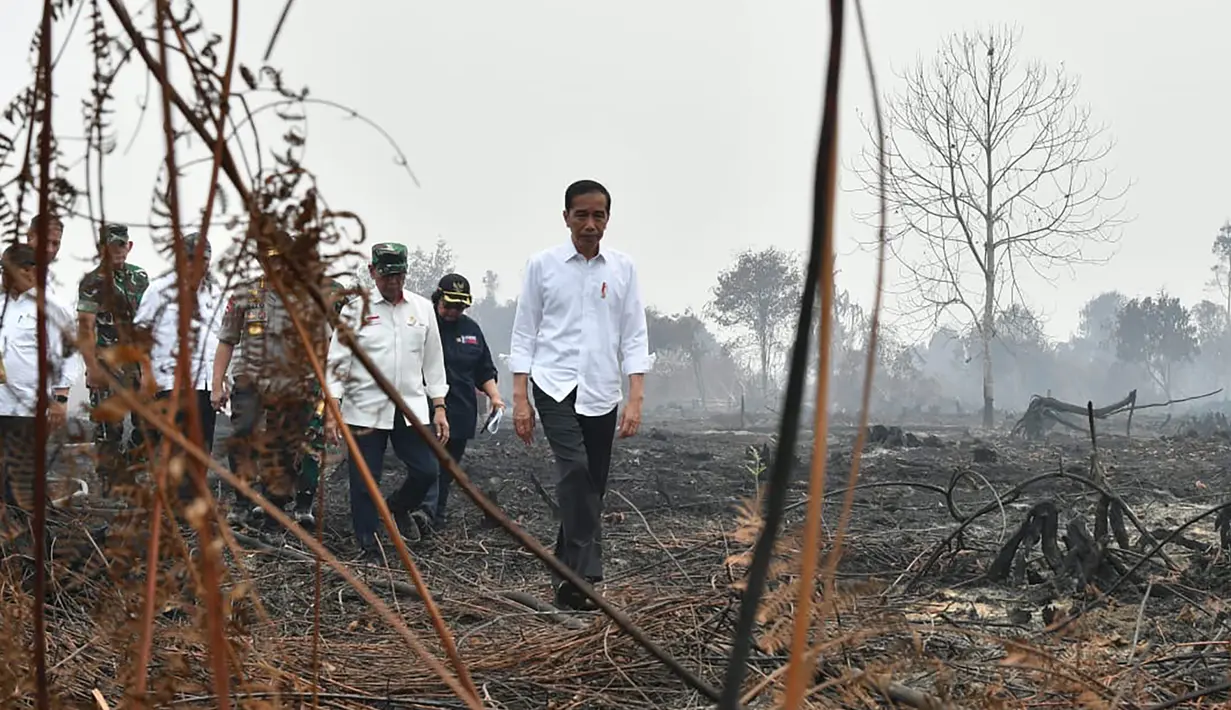 Presiden Joko Widodo atau Jokowi memeriksa kerusakan akibat kebakaran hutan dan lahan (karhutla) di Pekanbaru, Riau, Selasa (17/9/2019). Jokowi ditemani sejumlah pejabat saat meninjau lokasi kebakaran. (Handout/Indonesian Presidential Palace/AFP)