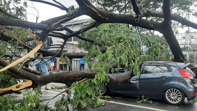 Tertimpa Pohon Tumbang Di Kota Tangerang Bisa Klaim Asuransi News Liputan Com