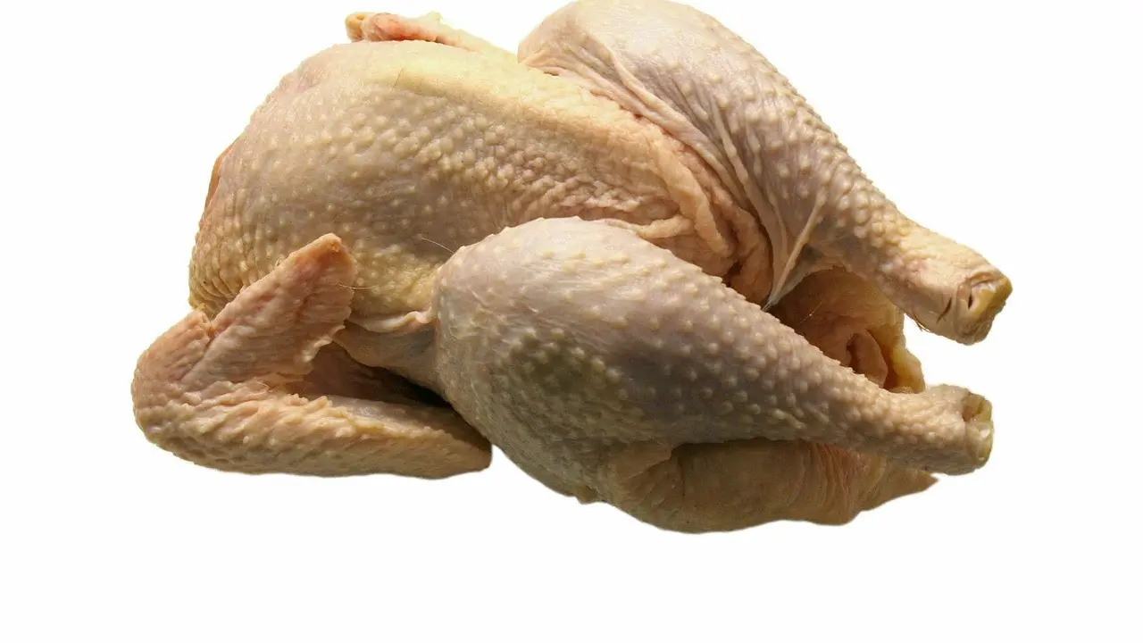 Ilustrasi daging ayam