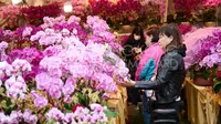 6 Tradisi Unik Imlek 2026 di Hong Kong, Dimulai dari Beli Bunga Pembawa Keberuntungan