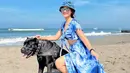 <p>Dari model hingga menjadi host acara petualang makin membuat nama Jodilee Warwick kian bersinar di dunia hiburan. (Instagram/jodileewarwick)</p>