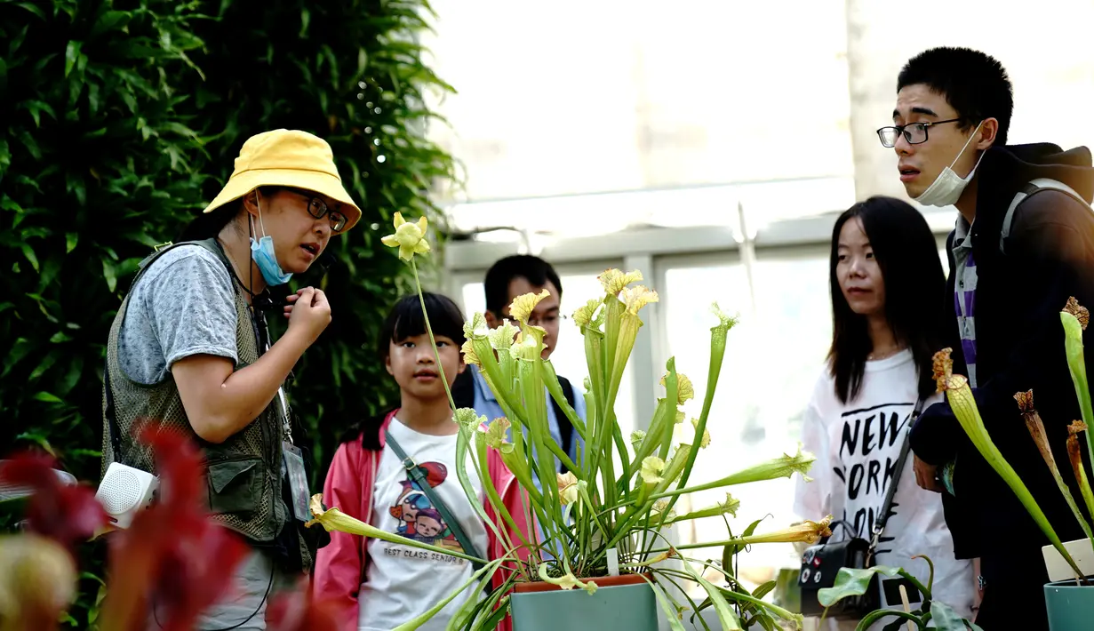 Para wisatawan mengamati tanaman pemakan serangga di Shanghai Botanical Garden, Shanghai, China, 11 Oktober 2020. Lebih dari 250 varietas tanaman pemakan serangga dipamerkan dalam Pameran Tanaman Pemakan Serangga ke-2. (Xinhua/Zhang Jiansong)