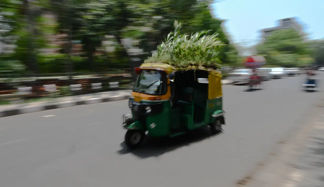 <p>Pengemudi bajaj Mahender Kumar mengendarai kendaraan dengan 'taman' di atapnya, di New Delhi, India pada 2 Mei 2022. Bajaj kuning dan hijau ada di mana-mana di jalan-jalan New Delhi tetapi kendaraan Mahendra Kumar sangat menonjol -- ia memiliki taman di atapnya bertujuan untuk menjaga penumpang tetap sejuk selama musim panas yang menyengat. (Money SHARMA / AFP)</p>