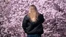 Seorang wanita  menikmati keindahan pohon sakura Jepang yang mekar di sakura di Stadtpark di Wina, Austria (22/3). (AFP Photo/Joe Klamar)