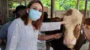 Meski di masa pandemi, Ayu Ting Ting tetap berkurban. ia mengunggah beberapa foto bersama sapi kurbannya yang berukuran besar.  (Instagram/ayutingting92)