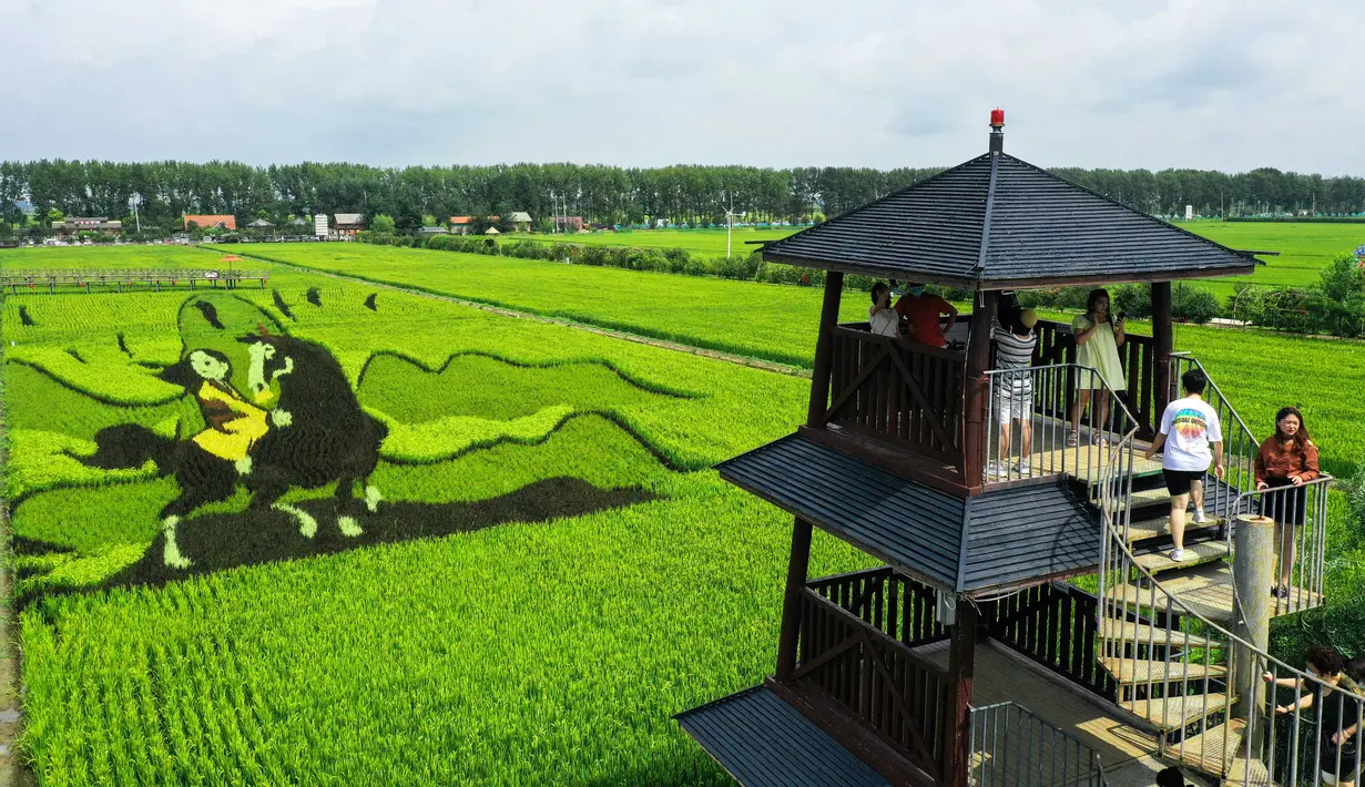 Para turis mengunjungi sawah dengan gambar yang dibuat dari berbagai varietas padi di Shenyang, Provinsi Liaoning, China, 17 Agustus 2021. (STR/AFP)