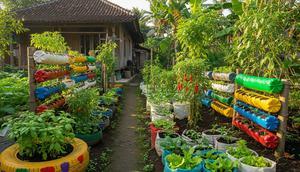 Ide Kebun Sayur Tanpa Modal Awal yang Langsung Bisa Dipraktikkan di Rumah/ Ilustrasi AI