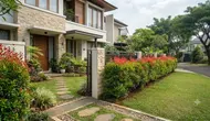 12 Tanaman Hias yang Cocok Diletakkan di Depan Pagar, Bikin Tampilan Rumah Makin Estetik