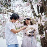 Ilustrasi/copyrightshutterstock/tickcharoen04