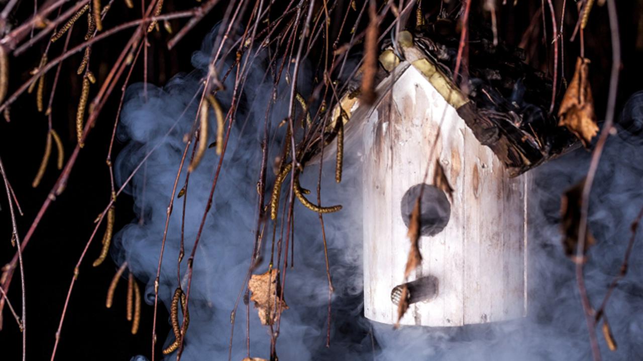 2016-07-01-fogging-rumahcom