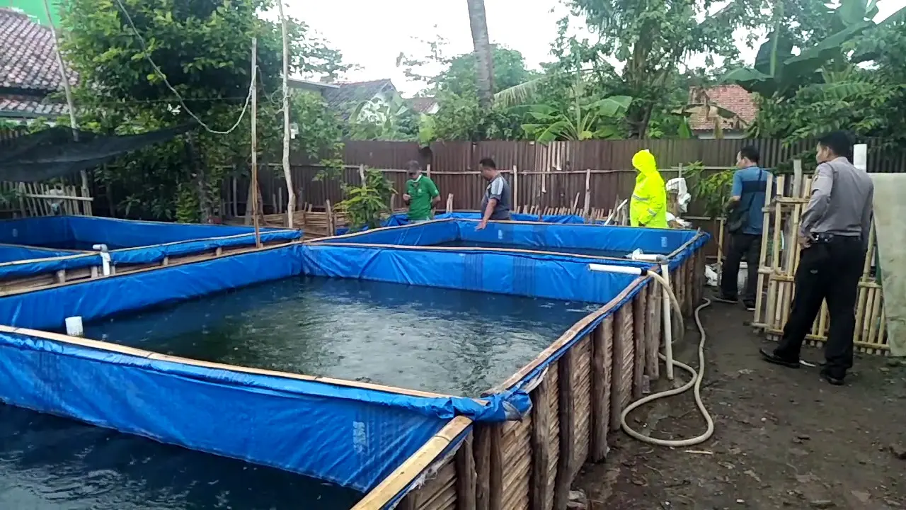 Balita tewas di kolam lele