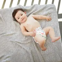 Popok bayi/unsplash the honest