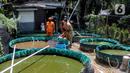 Petugas PPSU Kelurahan Grogol Utara melakukan budidaya ikan lele dan nila dengan sistem bioflok di Kebayoran Lama, Jakarta Selatan, Kamis (27/1/2022). Bioflok adalah salah satu teknologi budidaya ikan dengan rekayasa lingkungan yang mengandalkan pasokan oksigen. (Liputan6.com/Johan Tallo)
