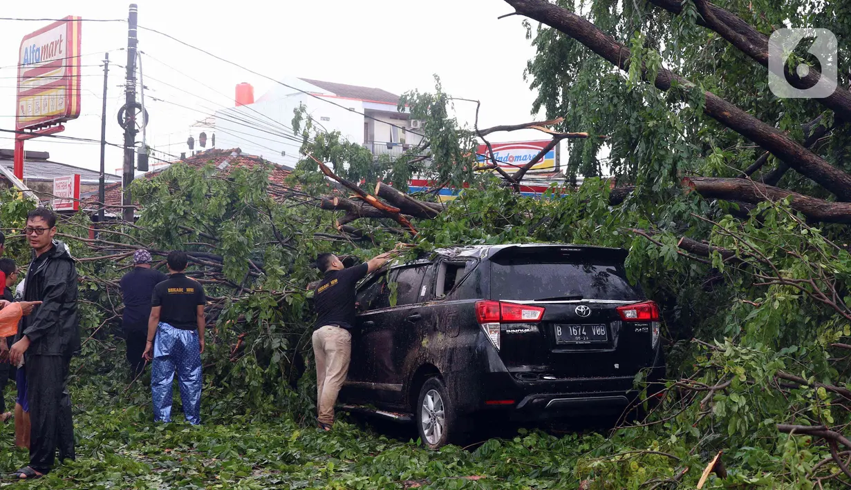 Warga membersihkan dahan pohon tumbang yang menimpa mobil di Kota Tangerang, Banten, Kamis (23/12/2021). Puluhan pohon dan gapura tumbang akibat terjangan angin kencang saat hujan lebat melanda Kota Tangerang. (Liputan6.com/Angga Yuniar)