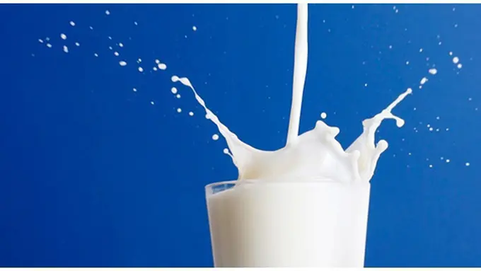 Copyright by Shutterstock.com