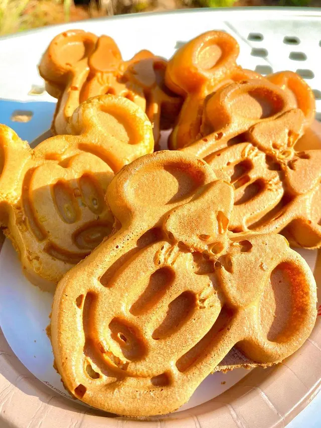 Disneyland
