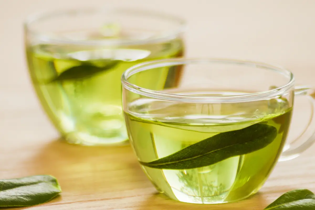 Ilustrasi green tea