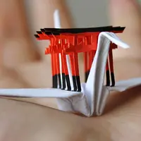 Proyek 1000 burung bangau dalam 1000 hari membuat seniman ini berimajinasi bekeliling dunia. (Via: boredpanda.com)